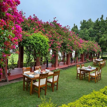 Naturoville Ayurvedic And Yoga Retreat Hotell Rishīkesh Exteriör bild