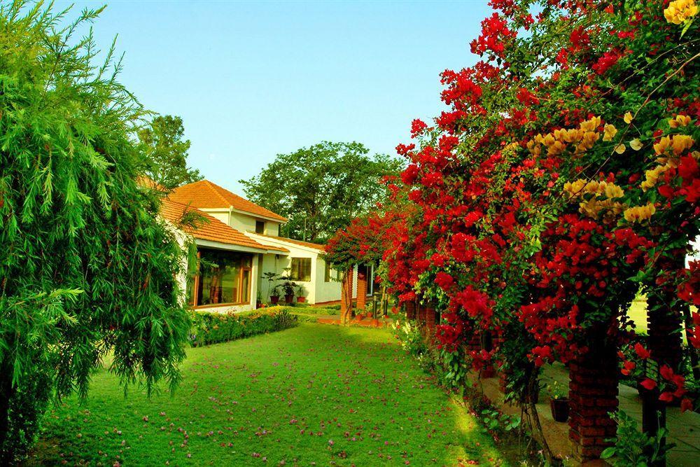 Naturoville Ayurvedic And Yoga Retreat Hotell Rishīkesh Exteriör bild