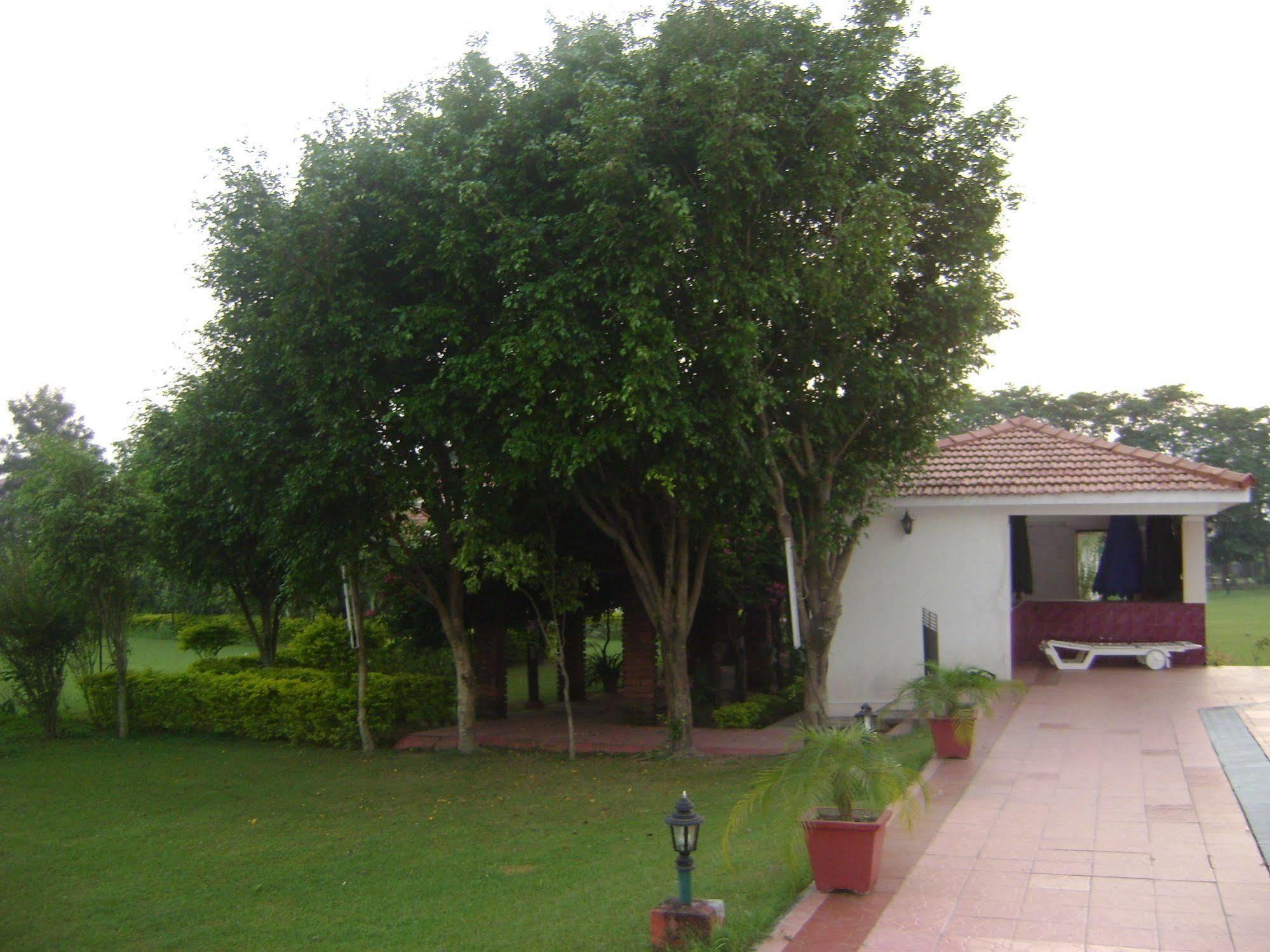 Naturoville Ayurvedic And Yoga Retreat Hotell Rishīkesh Exteriör bild