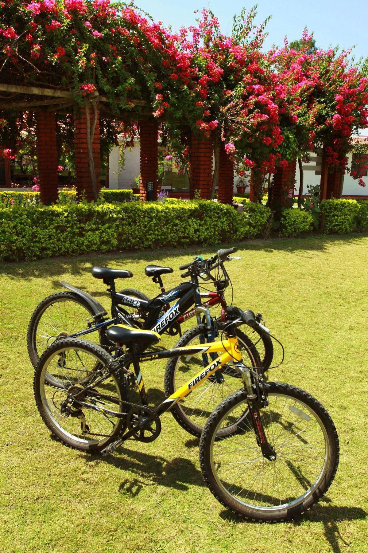 Naturoville Ayurvedic And Yoga Retreat Hotell Rishīkesh Exteriör bild
