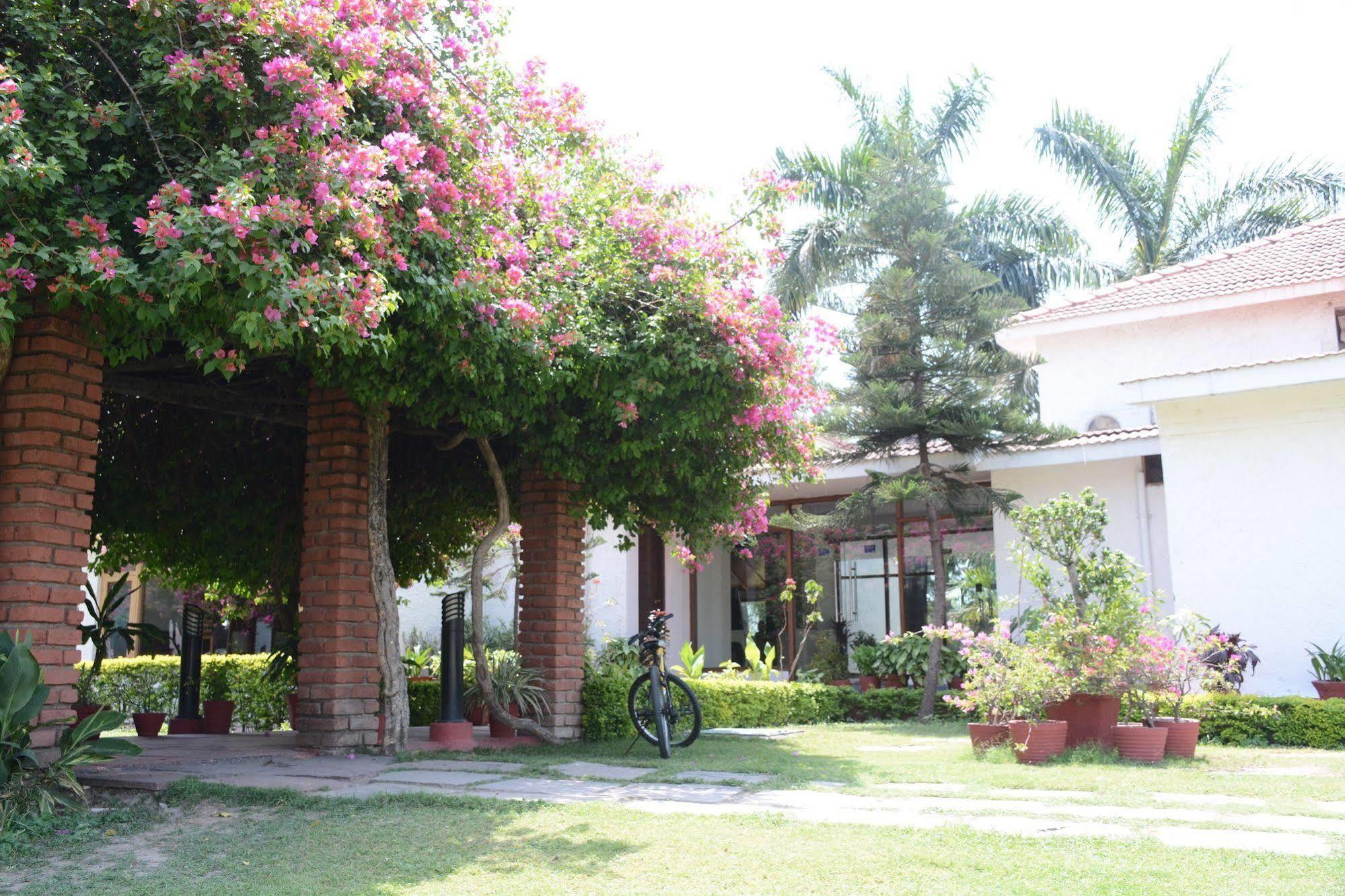 Naturoville Ayurvedic And Yoga Retreat Hotell Rishīkesh Exteriör bild