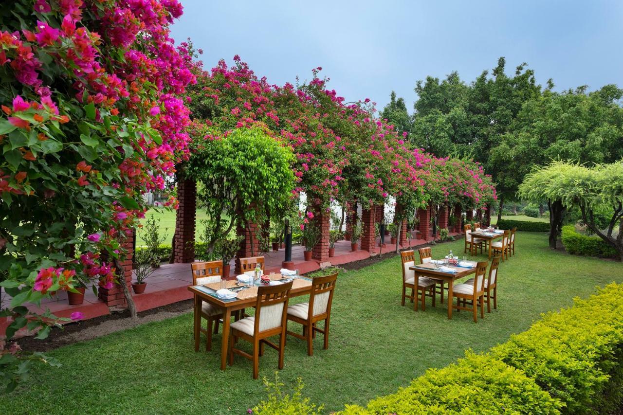 Naturoville Ayurvedic And Yoga Retreat Hotell Rishīkesh Exteriör bild